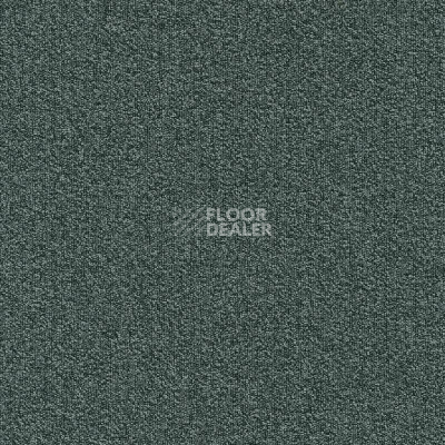 Ковровая плитка Modulyss Millennium Nxtgen Millennium Nxtgen 579 фото 1 | FLOORDEALER